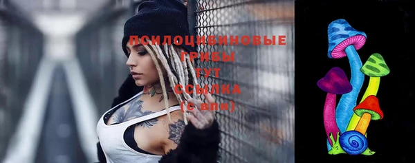 твердый Алзамай